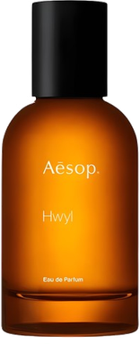 Hwyl