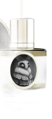 Moth