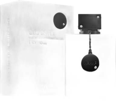 Club de Nuit Intense Man