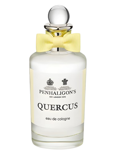 Quercus