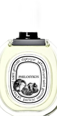 Philosykos