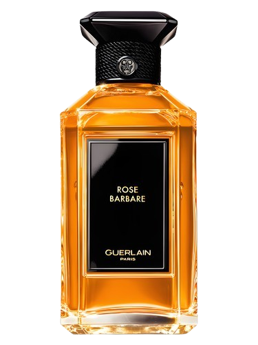 Rose Barbare