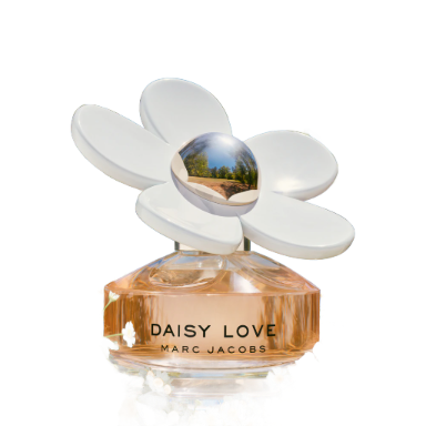 Daisy Love