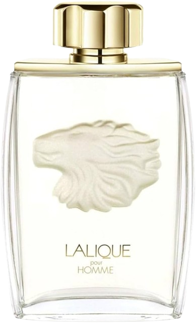 Pour Homme Lion