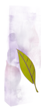 Green Tea Fig