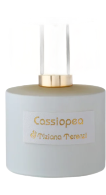 Cassiopea