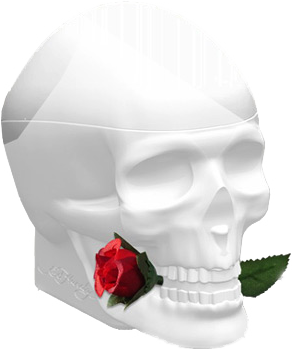 Ed Hardy Skulls & Roses for Her