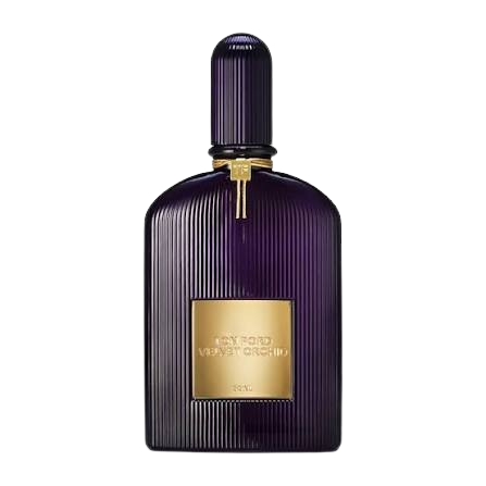 Velvet Orchid
