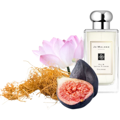 Fig & Lotus Flower